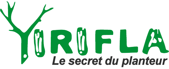 Accueil